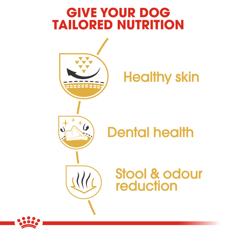 Royal Canin Shih Tzu Adult nutrition poster, pet essentials warehouse napier