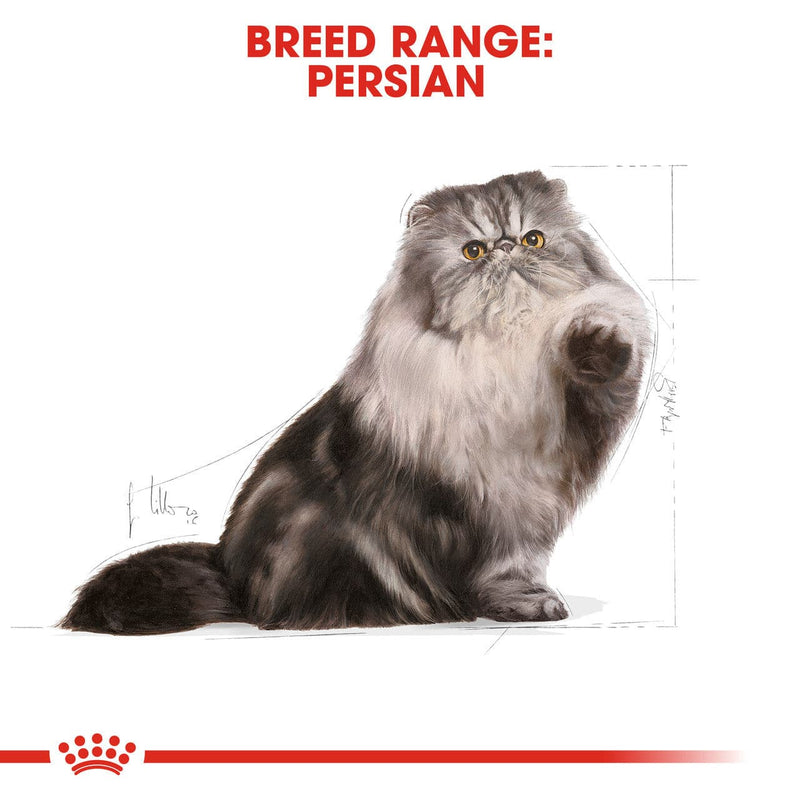 Royal Canin Persian Adult Dry Cat Food breed specific, pet essentials warehouse napier