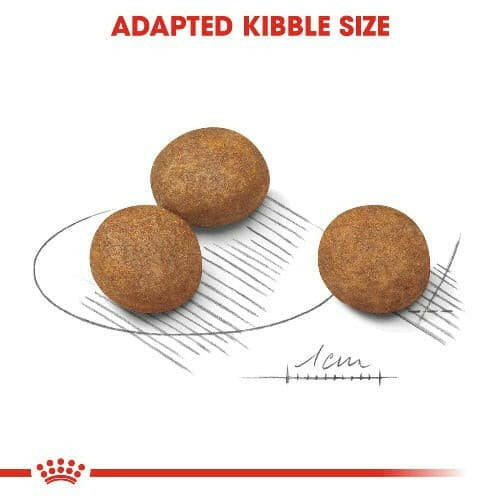 Royal Canin Maxi Puppy Dry Food 4kg, Pet Essentials Napier, royal canin large breed puppy kibble size