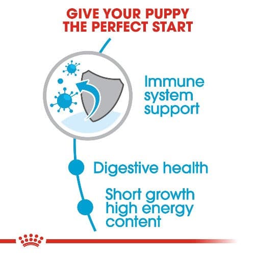 Royal Canin Medium Puppy Dry Food puppy immune 