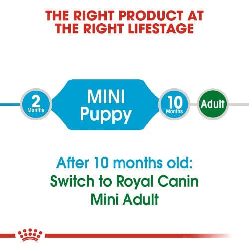 Royal Canin Mini Puppy Dry Food 2kg, Pet Essentials Napier, Pet Essentials Hastings, Puppy mini biscuits age guide