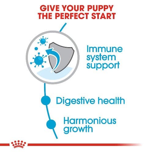 Royal Canin Mini Puppy Dry Food 2kg, Pet Essentials Napier, Pet Essentials Hastings, Puppy mini biscuits flyer