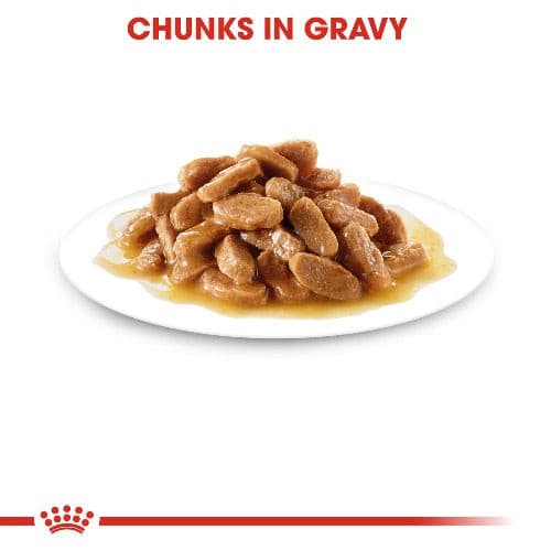 Royal Canin Mini Wet Puppy Food, Royal Canin Mini Puppy pouch, Pet Essentials Napier, pets Warehouse, Pet Essentials Hastings, Petdirect, Royal Canin Mini puppy on plate, chunks of gravy