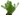 Red Pinetree - Rotala Wallichii, Live Plants,  Live Aquatic Plants,  Pet Essentials Warehouse.