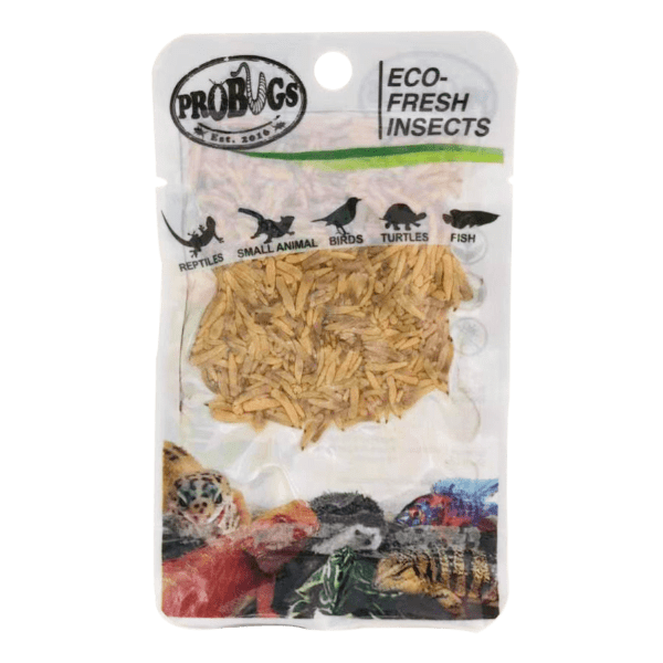 Pro Bugs Riceworms, Pro Bugs Rice worms, Pet Essentials Napier, PEt Essentials, Fishly, Hollywood Fish, Pet Essentials Hastings