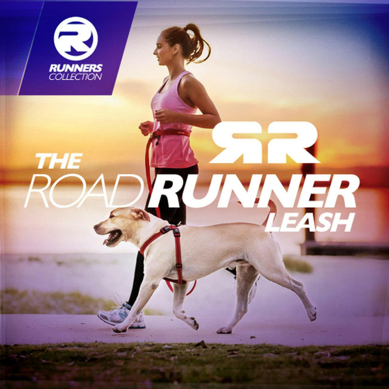 Ezydog Road Runner Lead 2.1m
