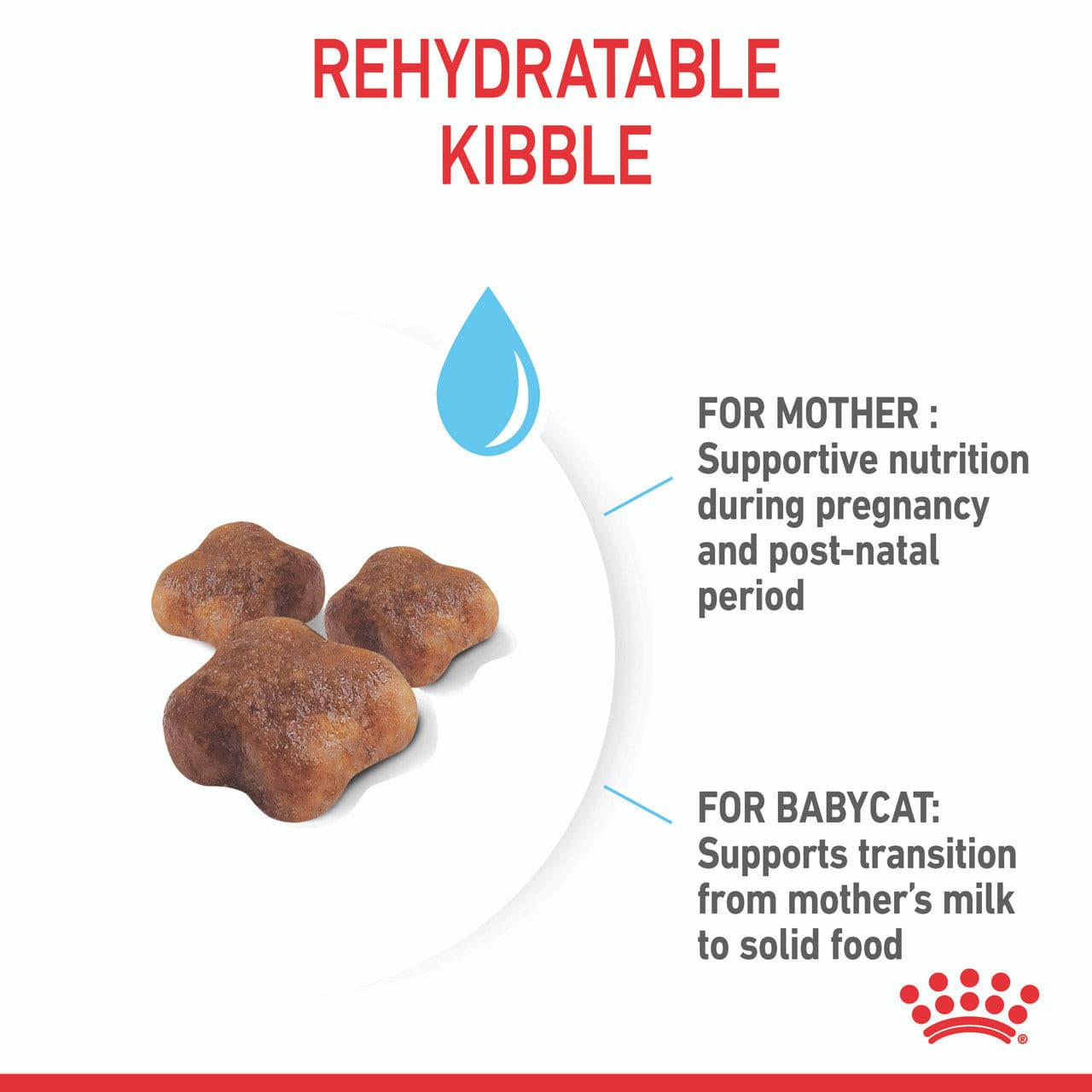 Royal Canin Mother & Babycat Dry Cat Food size of the biscuit, rehydrate royal cannin cat biscuit for cats