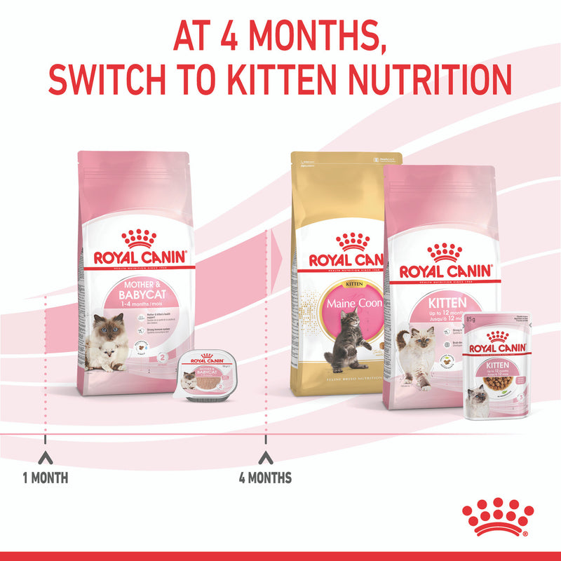 Royal Canin Mother & Babycat Dry Cat Food feeding chart, royal cannin mother and baby age chart, pet essentials warehouse