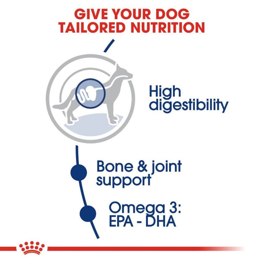 Royal Canin Maxi Adult Benefits