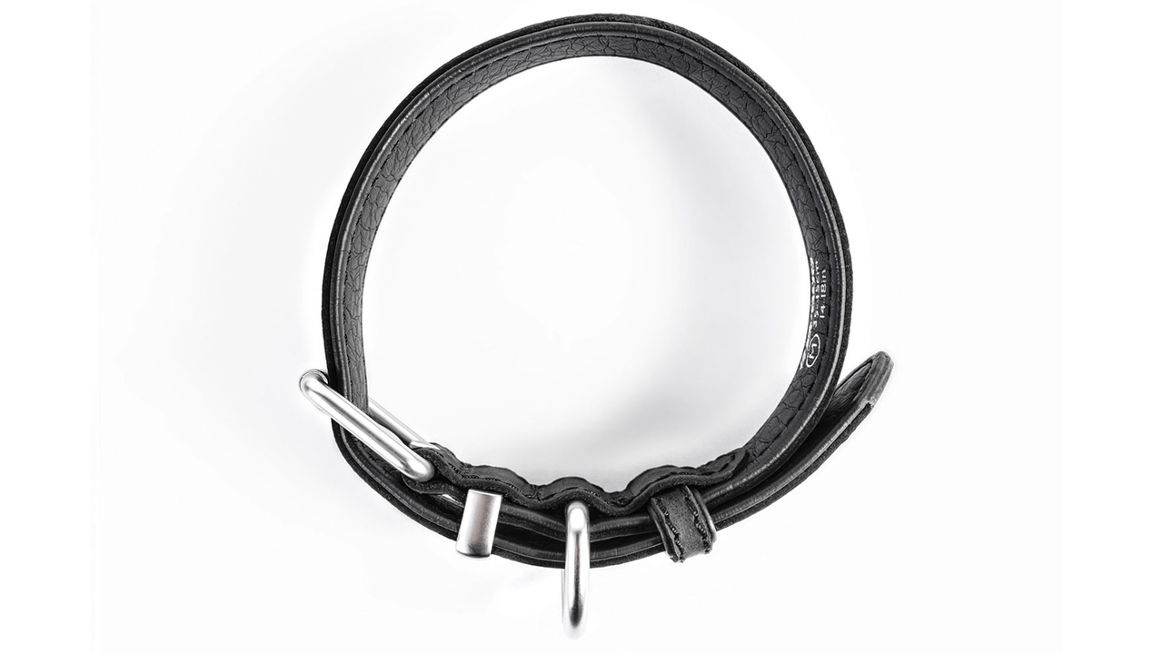 EzyDog Oxford Leather Dog Collar top view, pet essentials warehouse