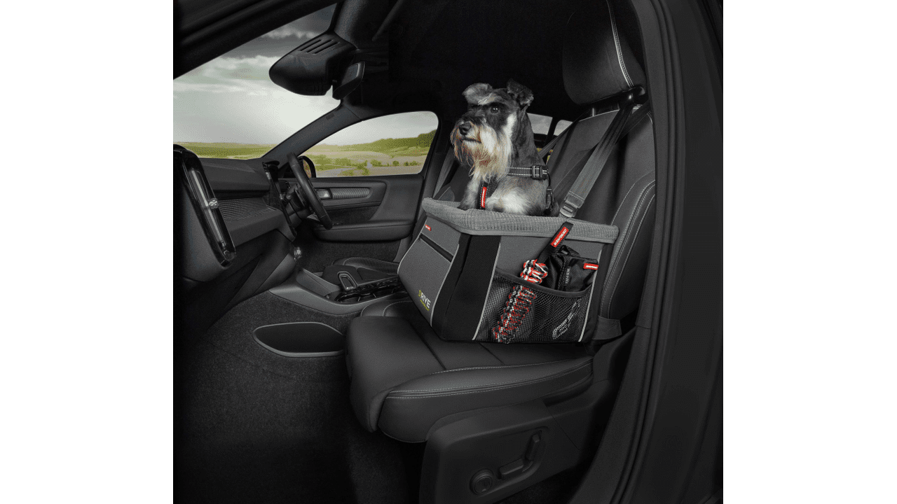 EzyDog Drive Booster Seat Charcoal