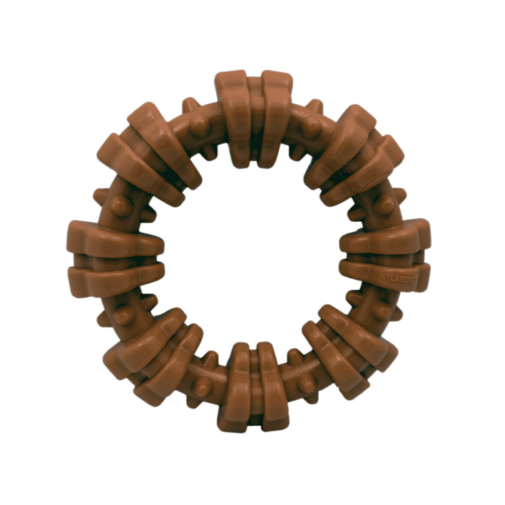 Nylabone Dura Chew Textured Ring Regular, Pet Essentials Warehouse