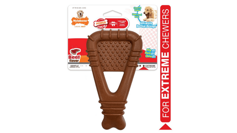 Nylabone essentials dental sales chew