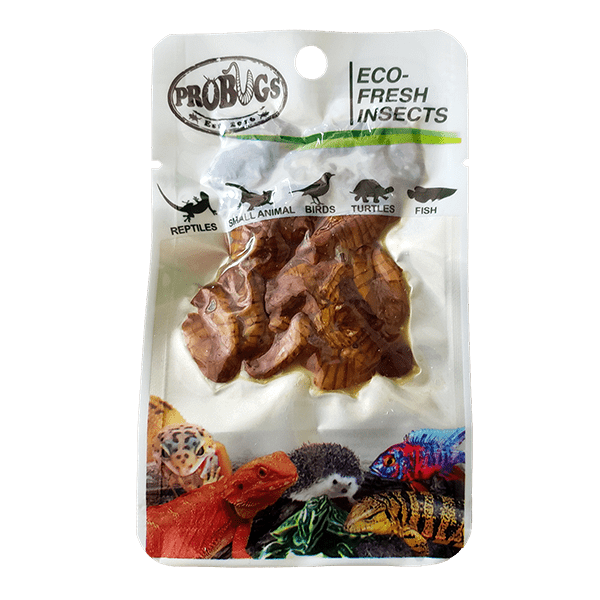 Pro Bugs Silkworm Pupae, Pet Essentials Napier, Fishly, Hollywood Fish, Happy Animalz, Pet Essentiasl Hastings
