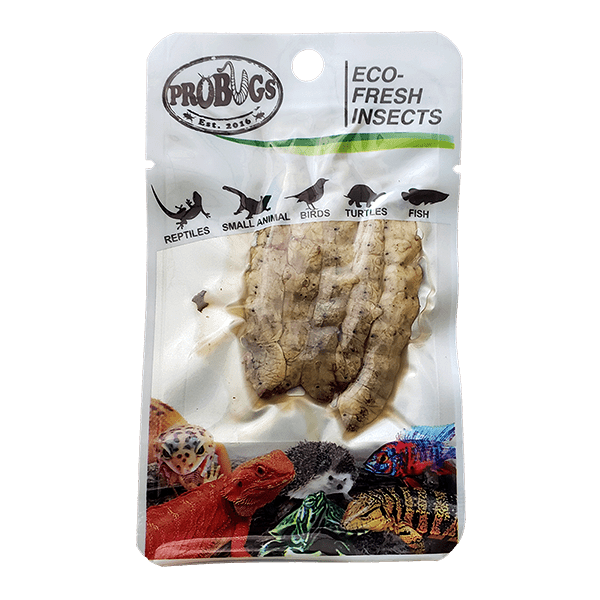 Pro Bugs Silkworms, Pet Essentials Napier, Pet Essentials, Fishly, Hollywood Fish, Happy Animalz