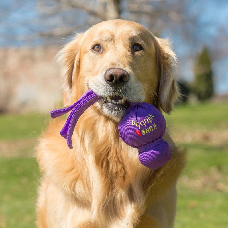 golden retriever playing with Kong Wubba Dog Toy, Pet Essentials Warehouse, pet city