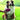 KONG Zoom Groom for Dogs, Kong,  Grooming Tools,  Pet Essentials Warehouse.