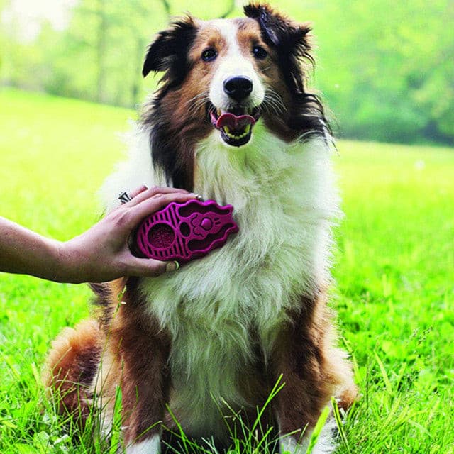 KONG Zoom Groom red, dog being groomed with zoom groom, pet essentials warehouse