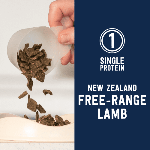 Ziwi Lamb Air Dried Cat Food A single-protein option for cats with protein allergies or sensitivities. ZIWI Lamb is sourced only from local New Zealand farms, ensuring the animals are free-ranging, grass-fed and finished. nz free range lamb ziwi peak cat food