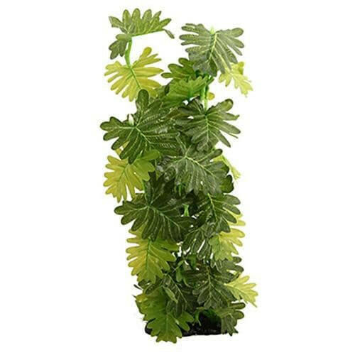 Reptile One Plant Philodendron Selloum 40cm, Pet Essentials Warehouse