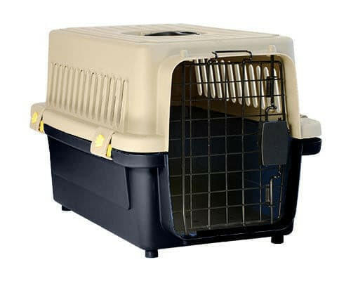 Allpet Plastic Carrier 68X51X47cm