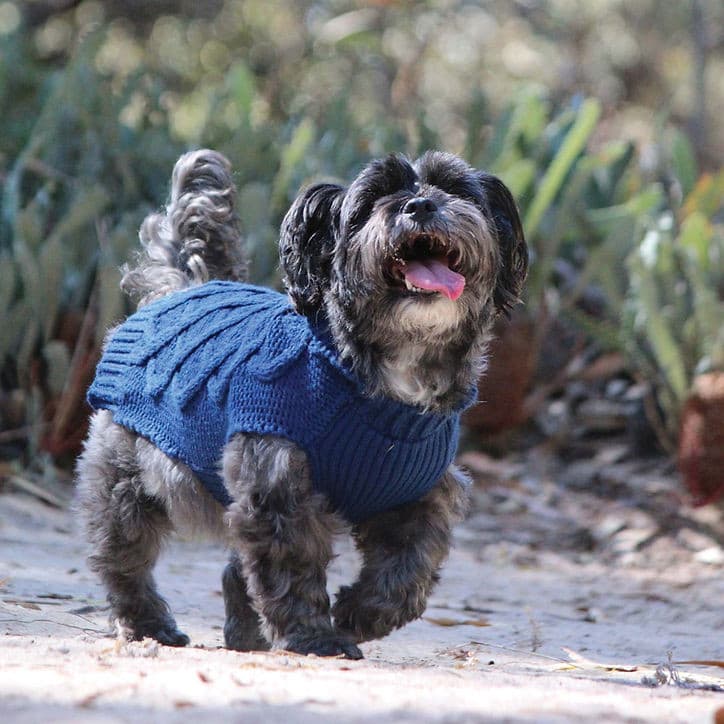 Jumper Huskimo Diamond Cable Navy, dog wearing huskimo navy knitted jumper