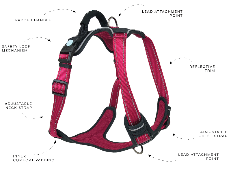 Huskimo Ultimate Harness Aurora, Pet Essentials Napier, Pets Warehouse, The Pet Centre Wellington, walking dog harness red