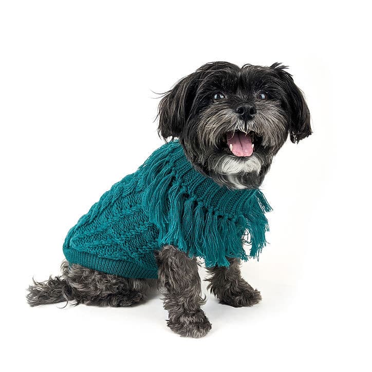 Jumper Huskimo Coachella Emerald, dog wearing huskimo jumper