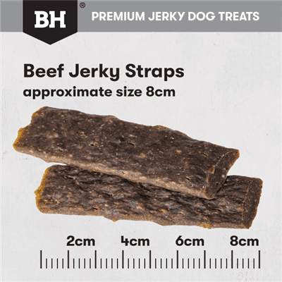 BlackHawk Dog Beef Straps 100G size, pet essentials warehouse