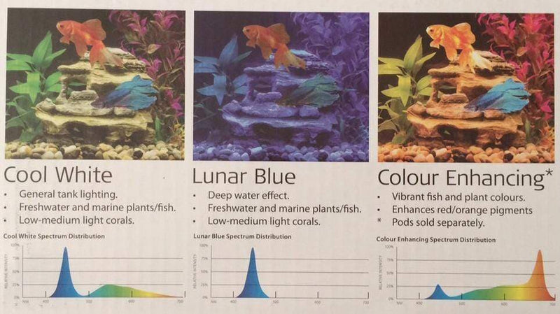 Blue Planet Led Track Lighting colour chart, Pet Essentials Napier, Pets Warehouse, Pet Essentials Hastings