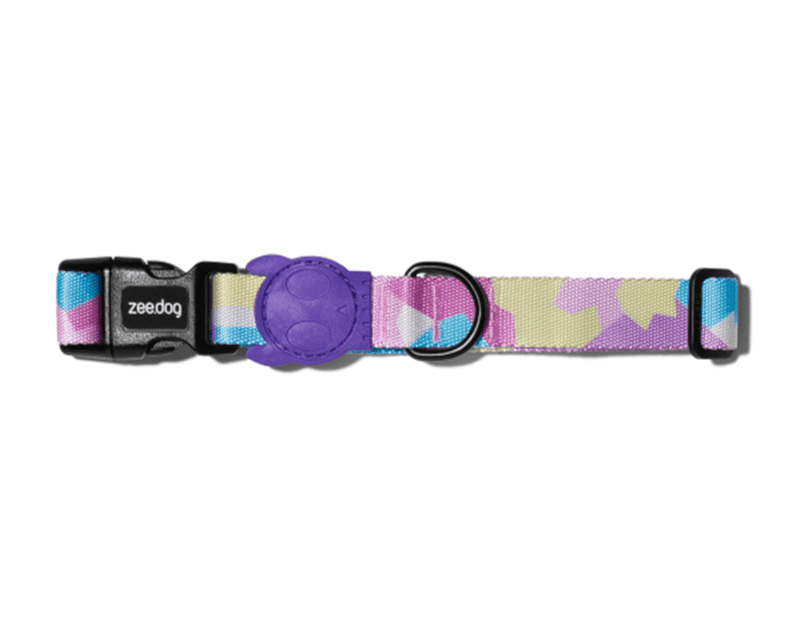 Zee.Dog Collar Candy - XSmall (Limited Edition), Zee Dog NZ, Pet Essentials Napier, Zeedog patterned dog collars, Animates zee dog