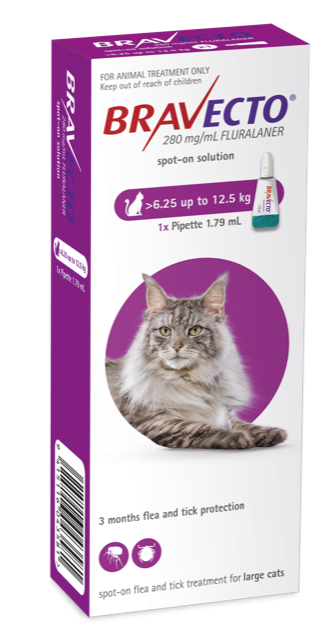 Bravecto Spot On Flea Treatment For Cats 6.25-12.5kg, Pet Essentials Napier, Pets Warehouse, Pet Essentials Hastings