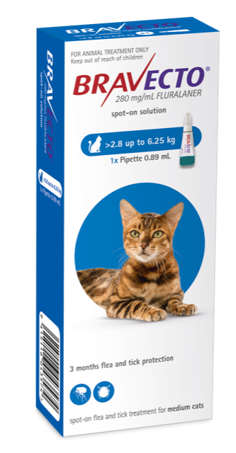 Bravecto Spot On Flea Treatment For Cats 2.8-6.25kg, Pet Essentials Napier, Pets Warehouse 