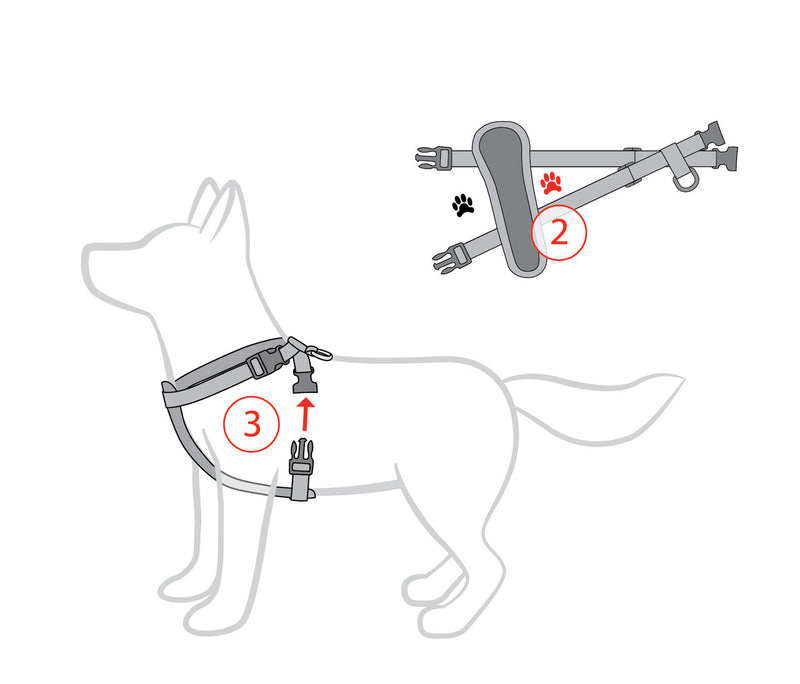 EzyDog Chest Plate Harness two step fitting instructions, pet essentials warehouse