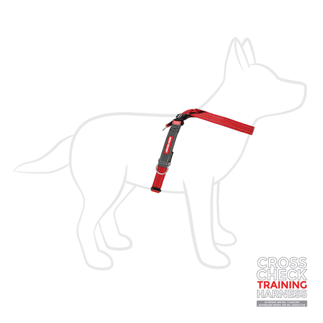 Ezydog Cross Check Harness Black, No Pull Dog Training Harness, Pet Essentials Napier, crosscheck harness red on a dog