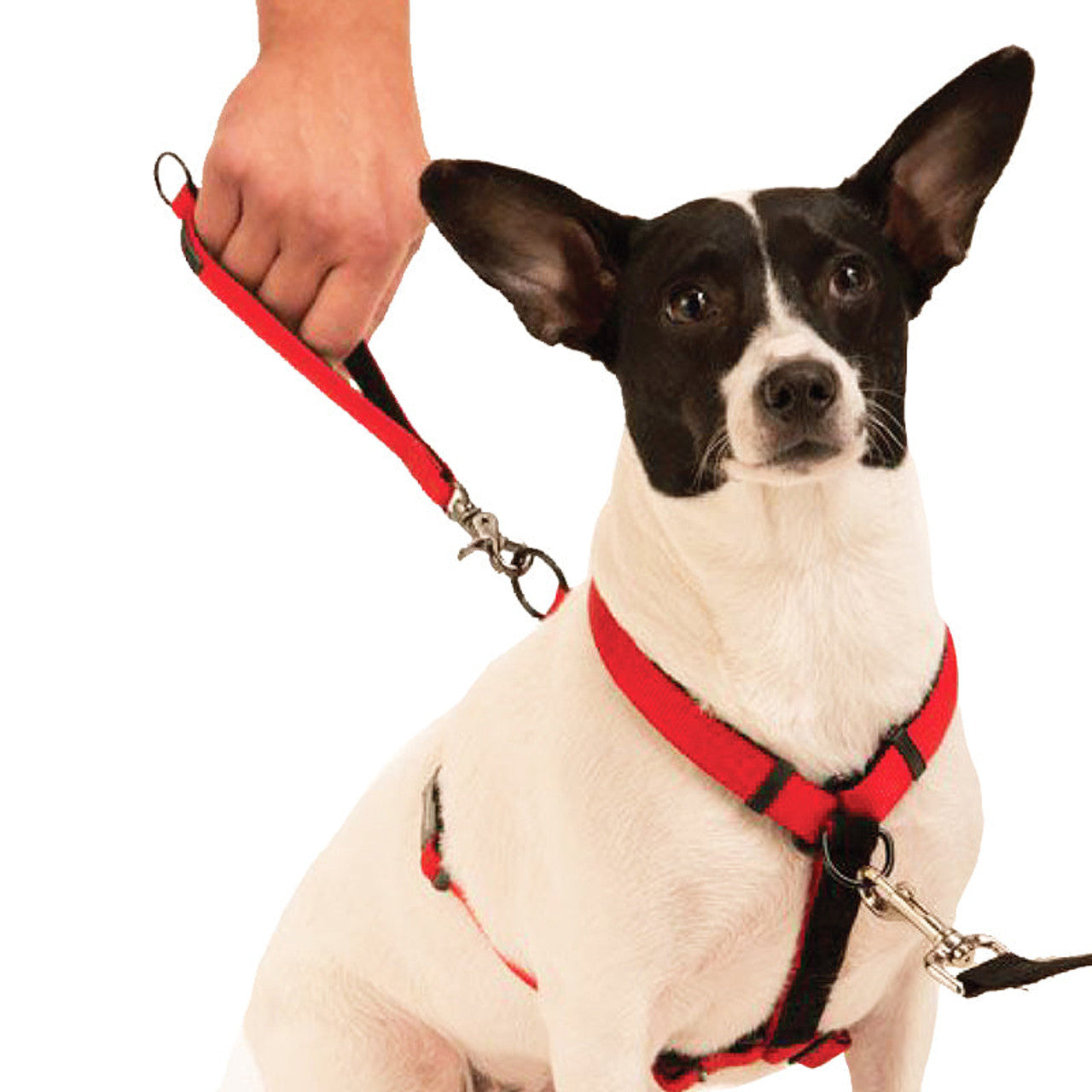 dog harness for dogs , Harness for dogs, pet Essentials Warehouse
