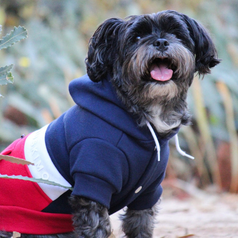 Huskimo Dog Coat Mt Baw Baw Hoodie Navy Red, dog wearing huskimo hoodie, pet essentials warehouse