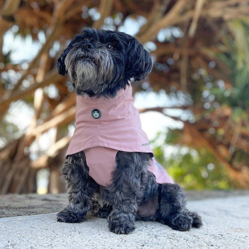 Huskimo Coat Peak Dusty Pink on a black dog, dog wearing pink waterproof rain jacket, pet essentials warehouse