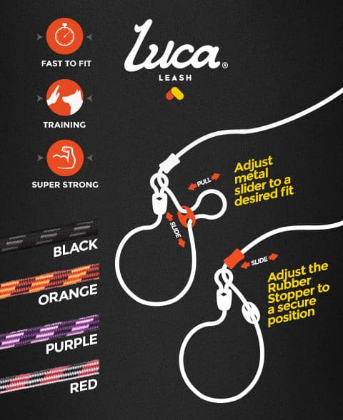 EzyDog Luca Slip Leash Black, ezydog black lead, ezy dog slip lead for dogs, pet essentials napier, pet essentials hastings, pet essentials porirua, head controller for dogs, how to use luca leads for dogs