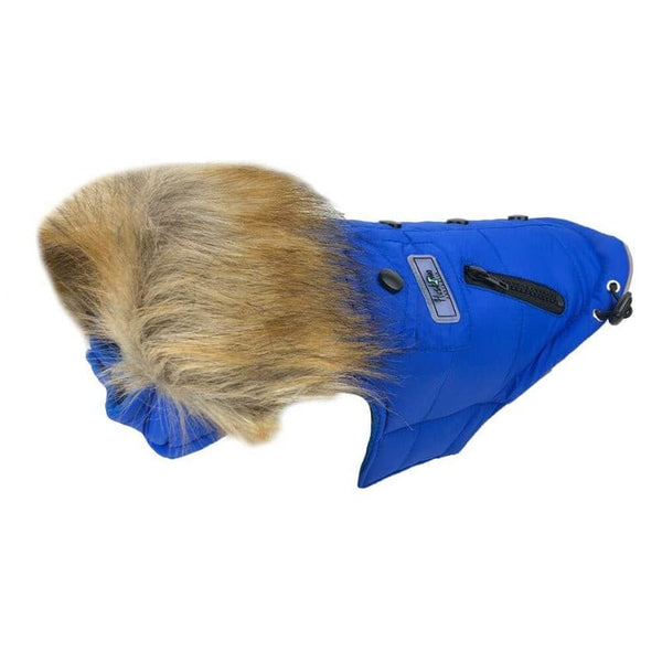 Huskimo Everest Royal Blue Dog Coat, Pet Essentials Warehouse Napier