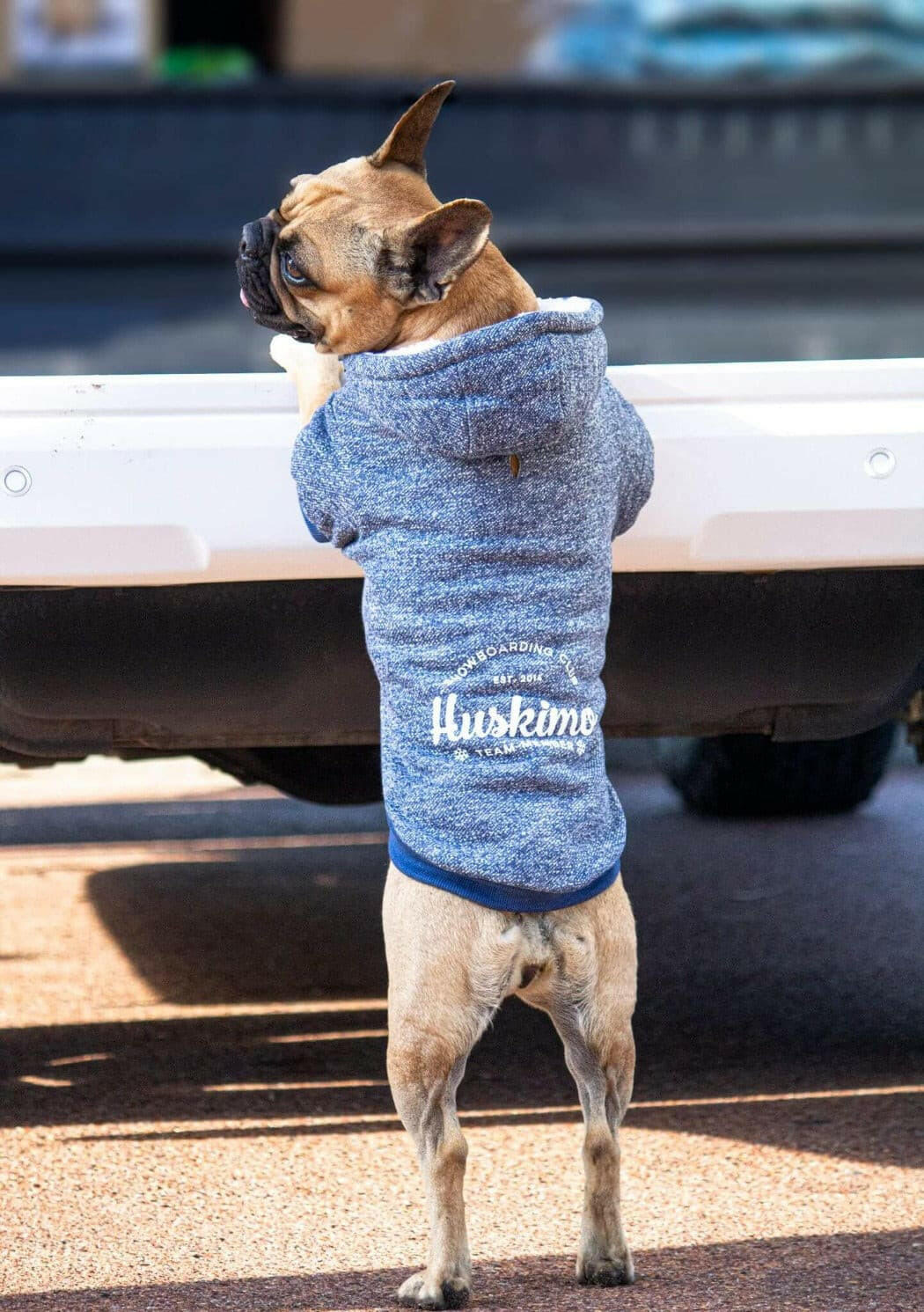 Huskimo Dog Coat Snowboard Denim Huskimo Coats Pet Essentials