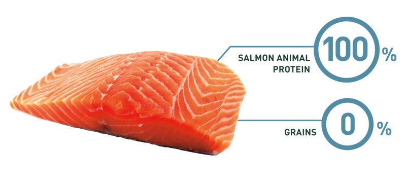Bravery Grain Free Adult Dog Kibble Salmon 12kg