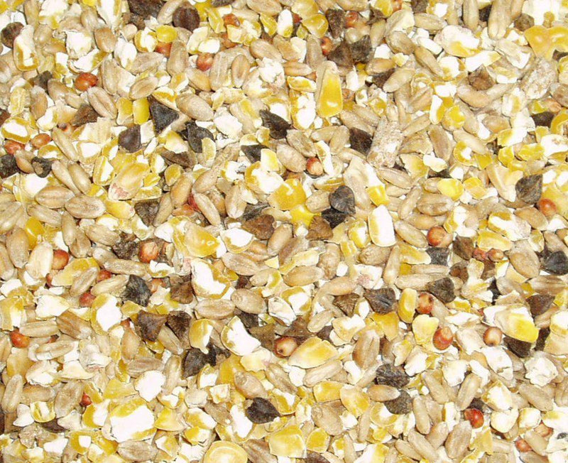 Topflite Dove Mix Seed, Dove Food, Pet Essentials Warehouse,