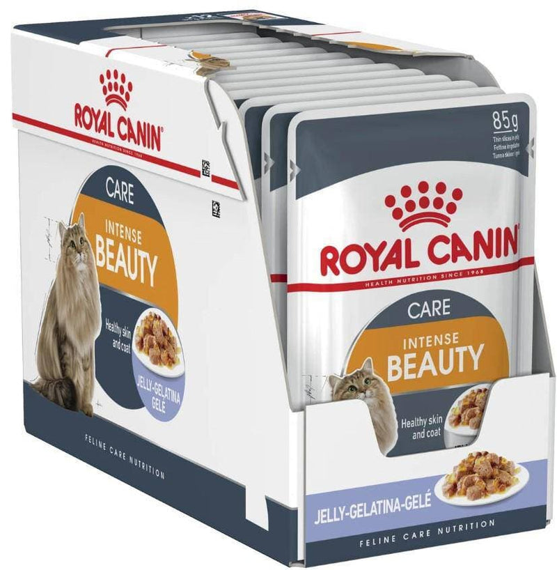 Royal Canin Intense Beauty Jelly box of 12, pet essentials napier