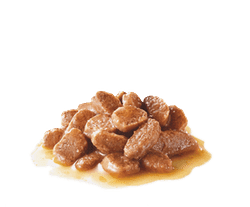 Royal Canin Digest Sensitive Gravy wet food, pet essentials