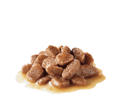 Royal Canin Instinctive 7+ Gravy wet cat food, pet essentials napier