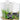 Aqua One Betta Sanctuary Glass Tank 10L White, Aqua One,  Aquatic Tanks/Bowls,  Pet Essentials Warehouse.