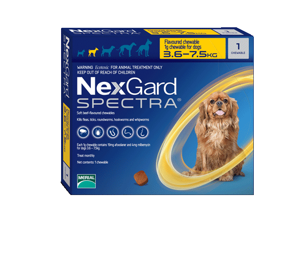 Nexgard top spectra ticks
