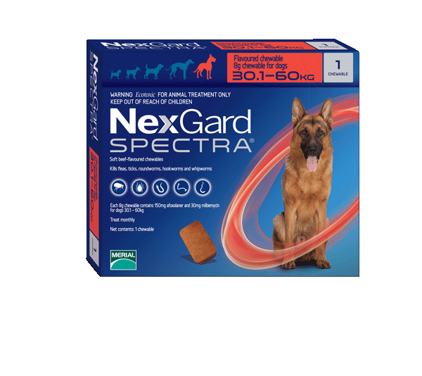 Nexgard Spectra Flea Tick & Worm Chewable Treatment 30.1-60kg