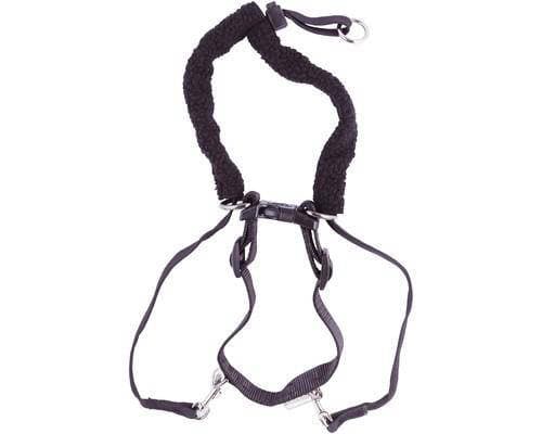 Sporn Halter Dog Harness Black XL with padding, pet essentials warehouse